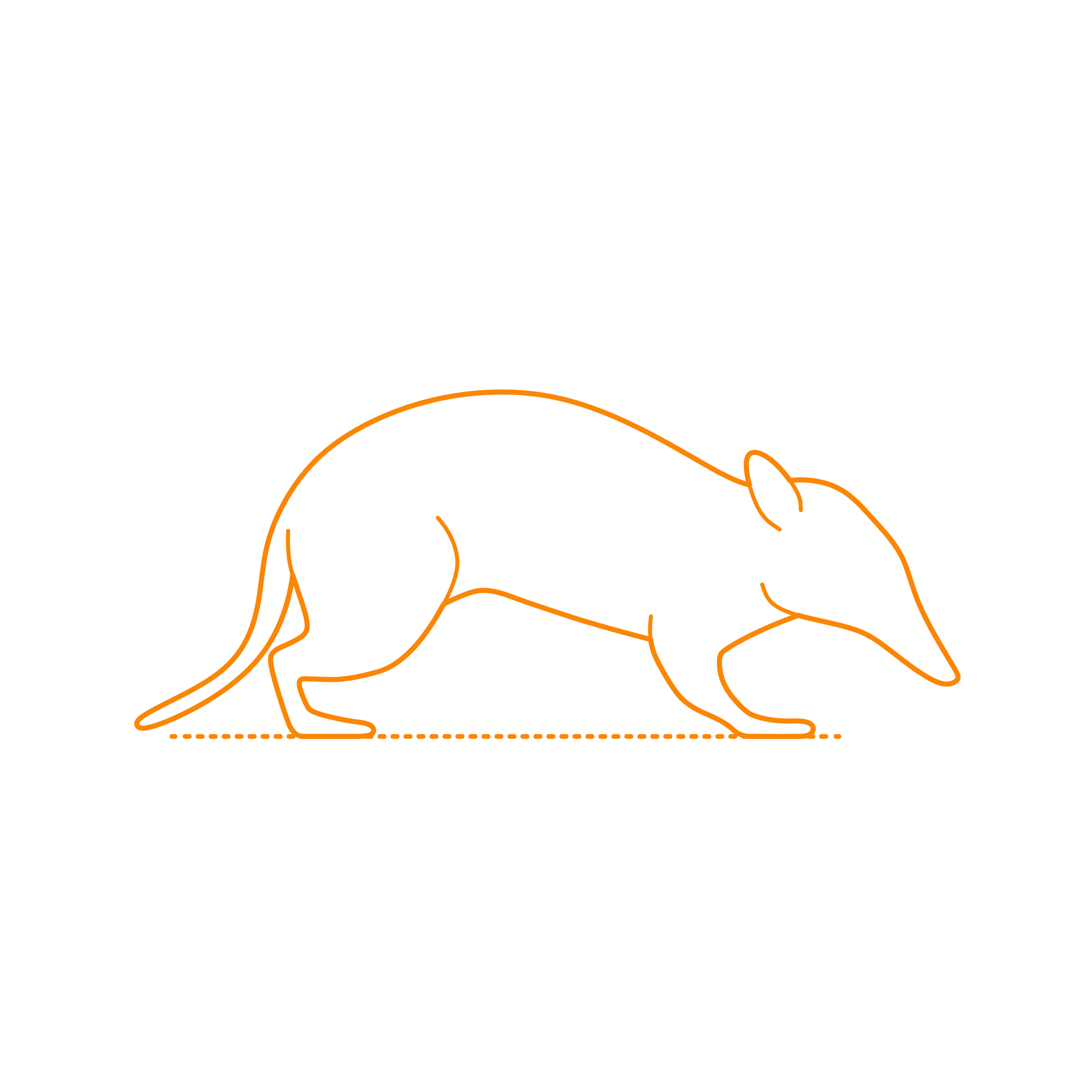 Animals Marsupials Long Nosed Bandicoot Stencil Svg Design File Free Vectors